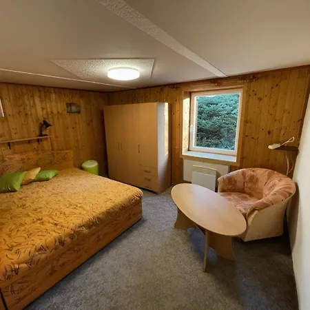 U Sjezdovky Apartman *